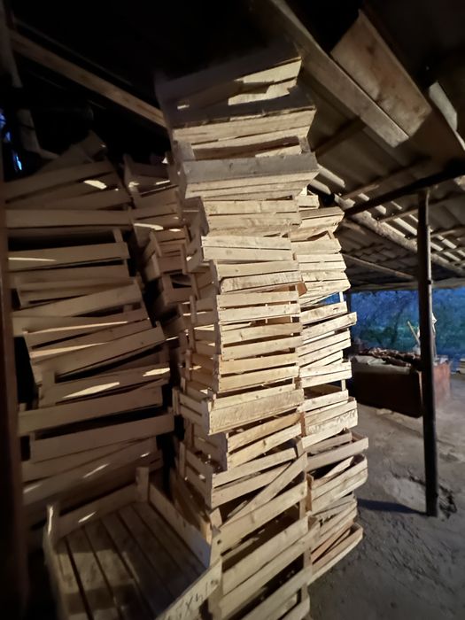 Продам ящики из под ягод