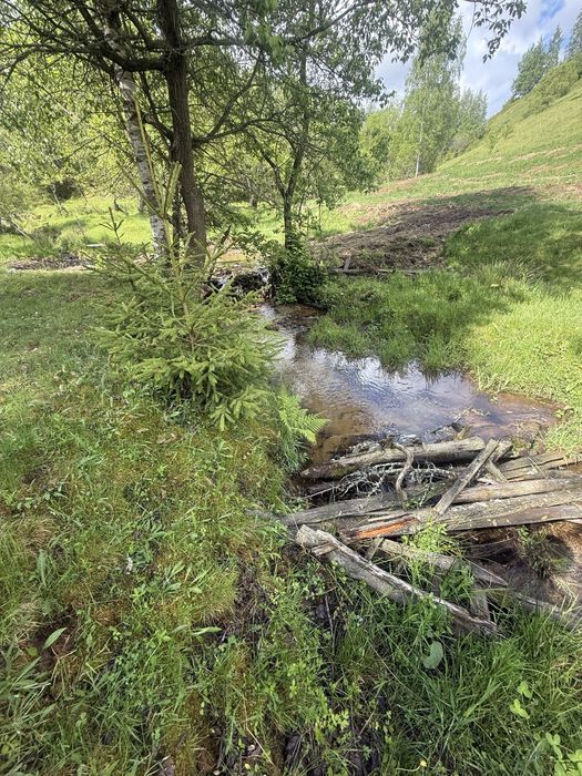 Teren intravilan de cabană la munte