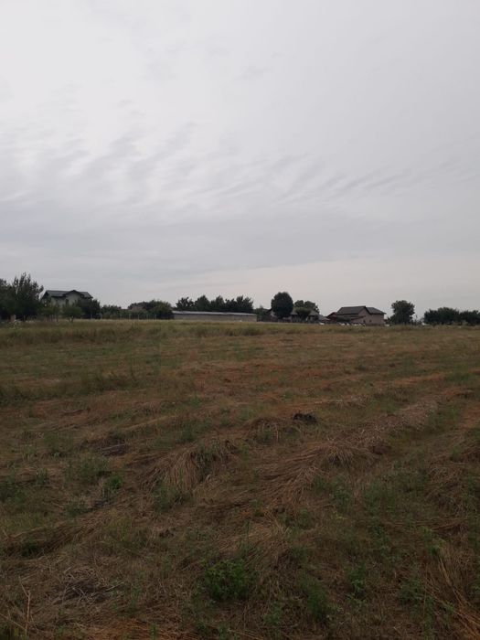 Vand teren Ciurbesti intre padure si case