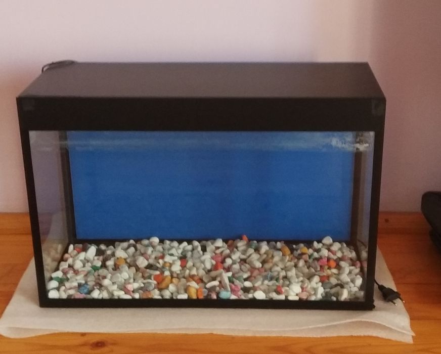 Аквариум большой