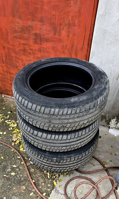 Anvelope de vara Riken 205 55 16