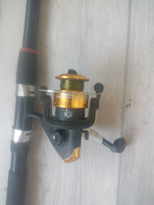 Qalmoq 2ta zur holatda