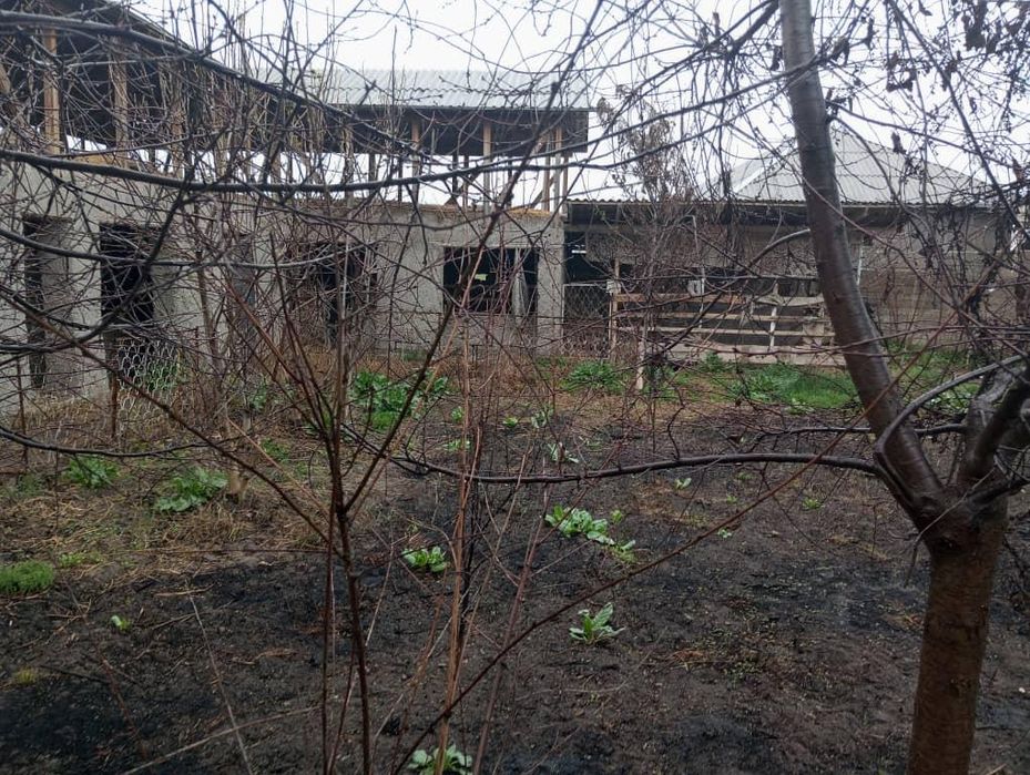 Дом аренда диля жилой