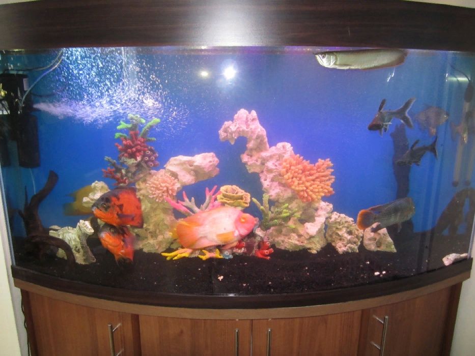 аквариум на заказ