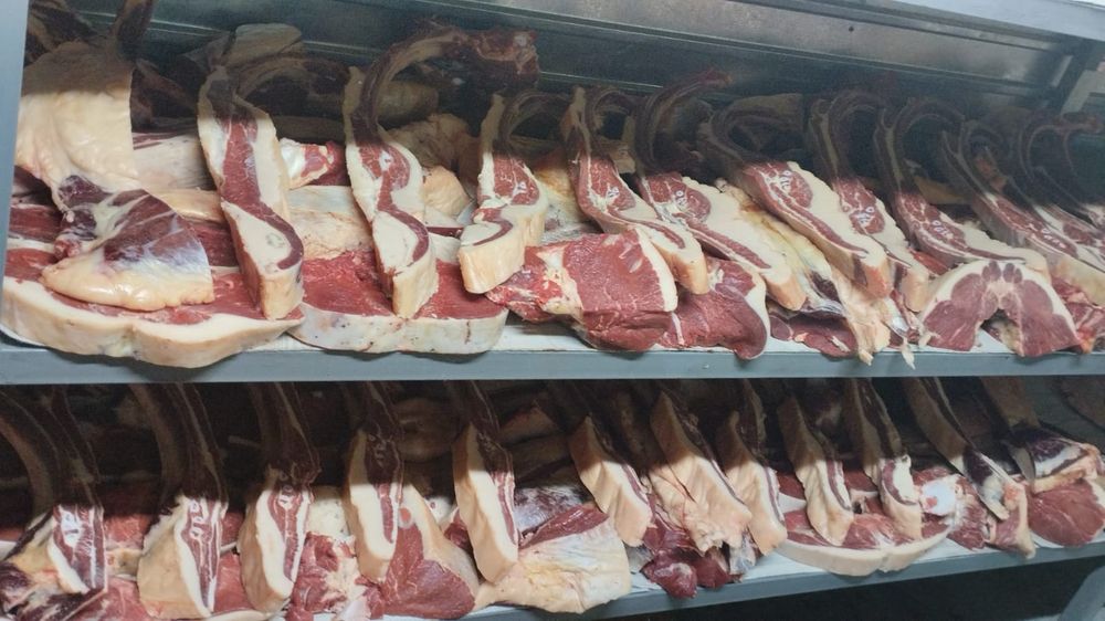 Продам мясо от конины
