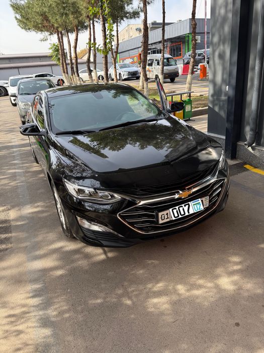 Malibu premier sotiladi