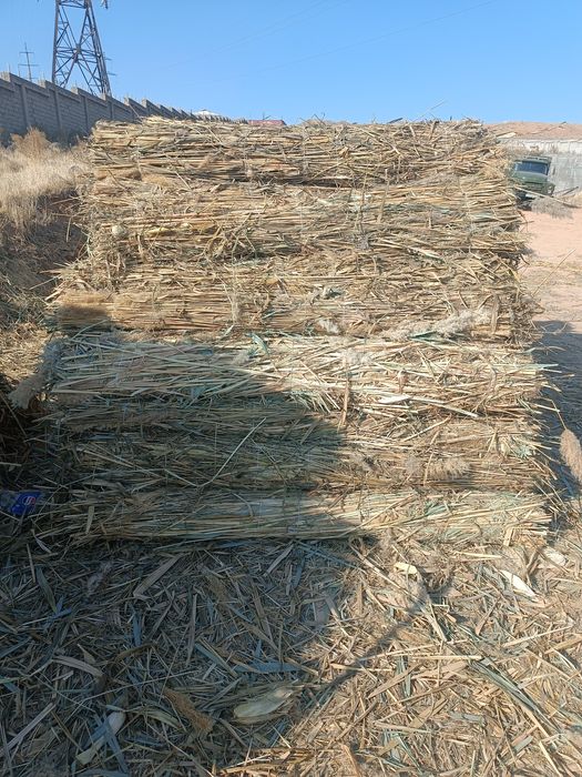 Qamish mahsulotlari
