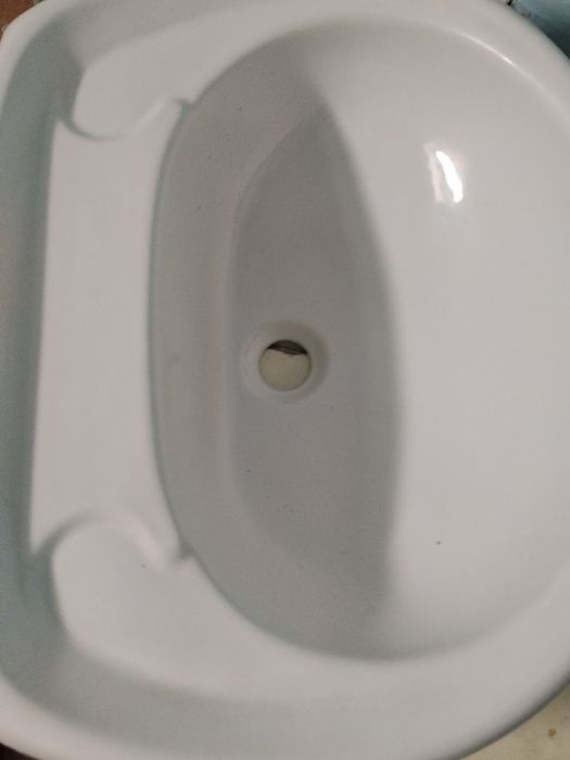 Раковина тюльпан