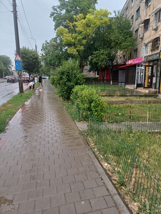 Spatiu comercial vad bun Bulevardul  Nicolae Iorga