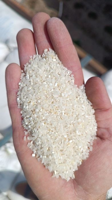 Guruch sechkasi top toza faqat abyomga