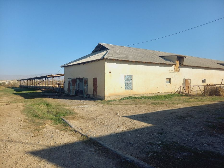 Молхона ва ишлаб чикариш учун бино