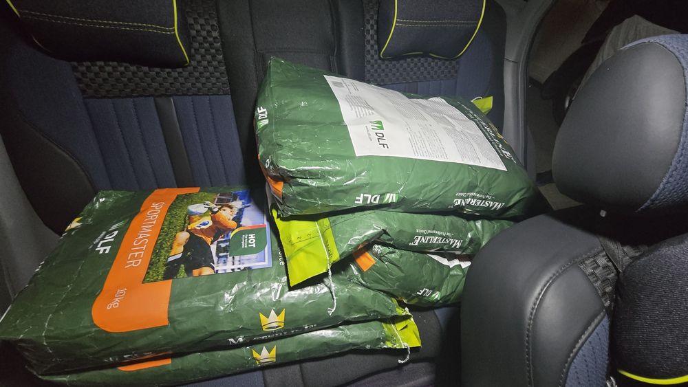 Gazon urug'/ газон уруг