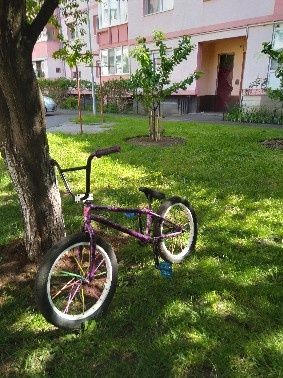 Vând  Bmx Mafia Bike Madmain