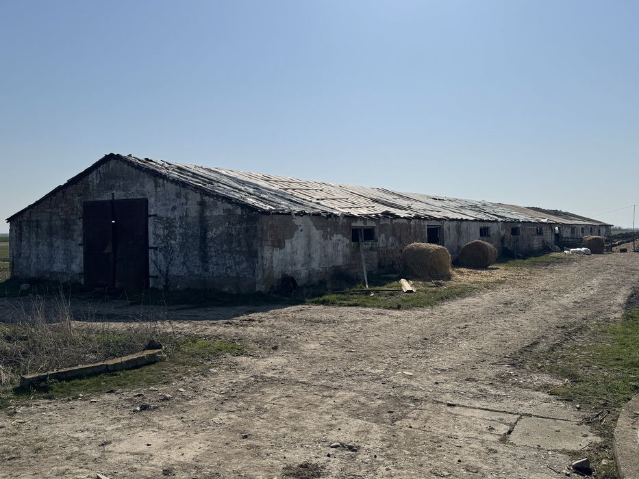 Ferma Bihor Salonta Baia Veche