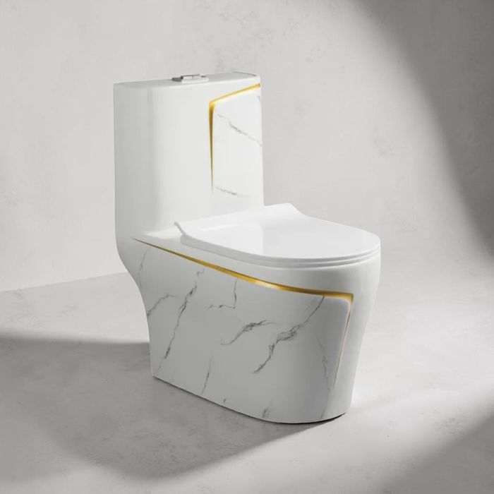 Унитазы, Обычный и Моноблок