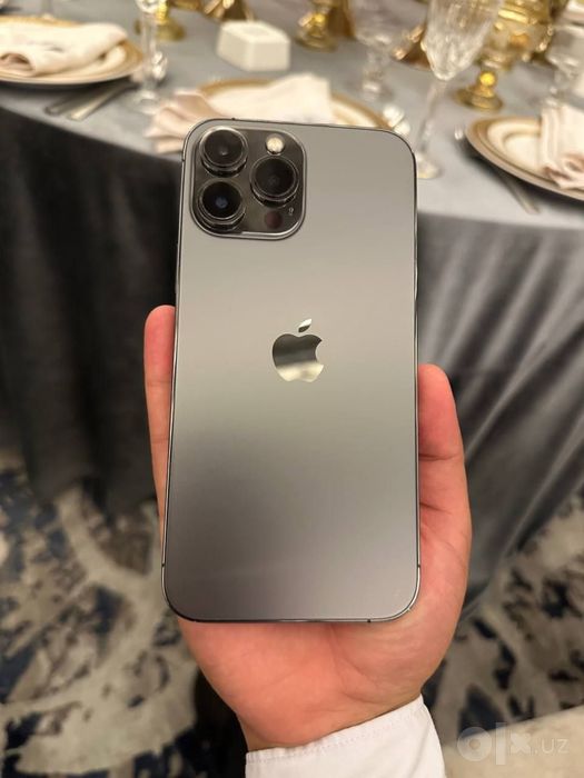 Ayfon 13 pro max