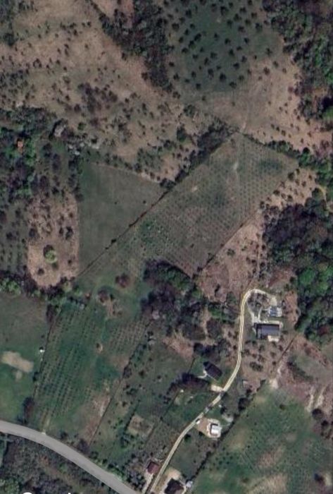 Oportunitate rară – Teren + livadă în Câmpulung!