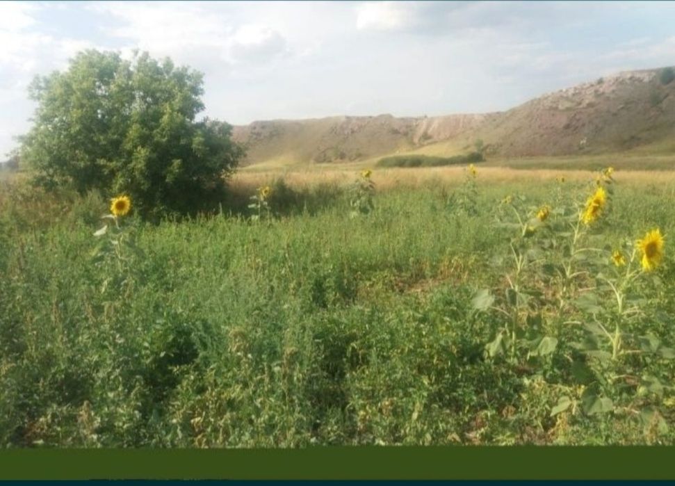 Продам дом село Алексеевка