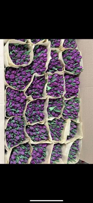 Цветы тюльпаны  , розы ,розницу принимаем заказы