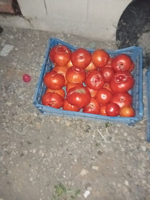 De vânzare roșii și vinete engro