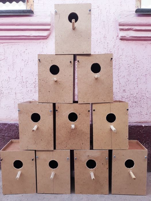 Гнездо для всех видов попугаев