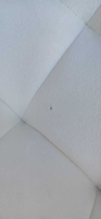 Трапезен стол 2 броя комплект MIADOMODO цвят крем