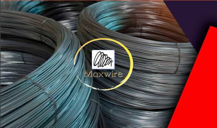 Сим Куйган Сим Гладкий Куйган Оптом 10368