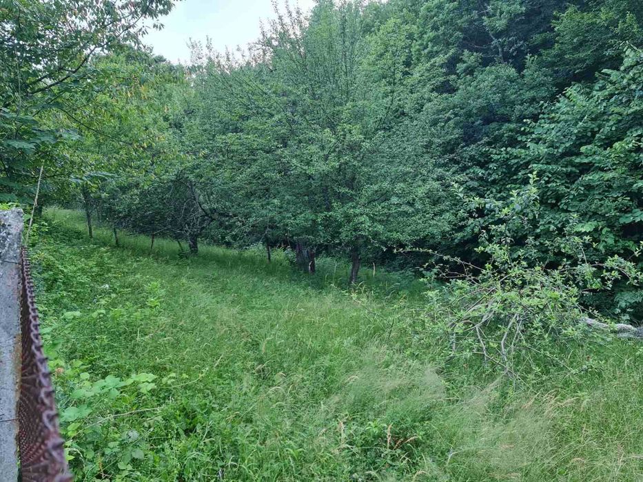 Продава се Парцел в Габрово, Бичкиня - 1200 кв.м за 3 €/кв.м - Снимка #6