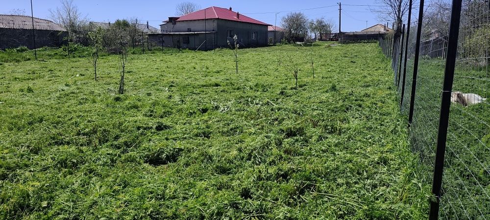 Teren intravilan de vanzare