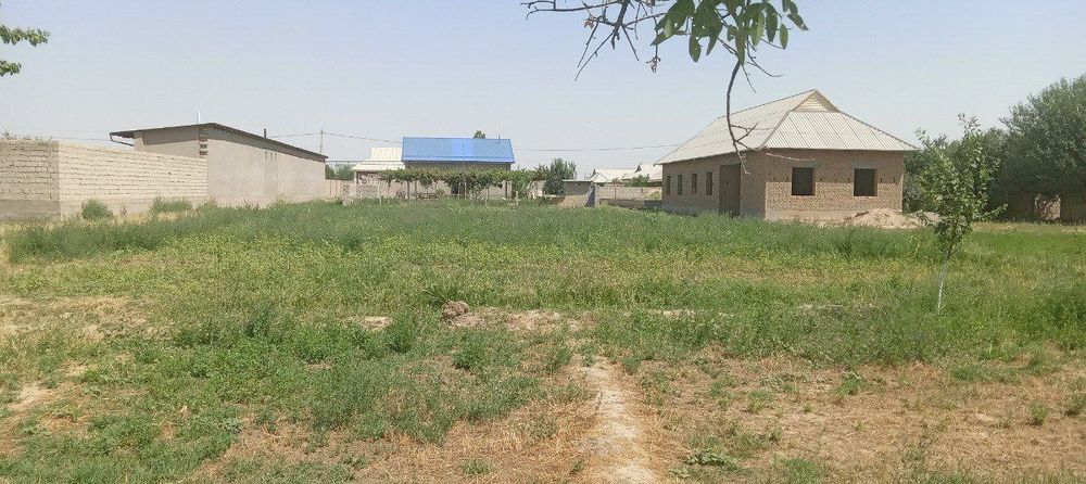 Yer sotiladi 8 soʻtix