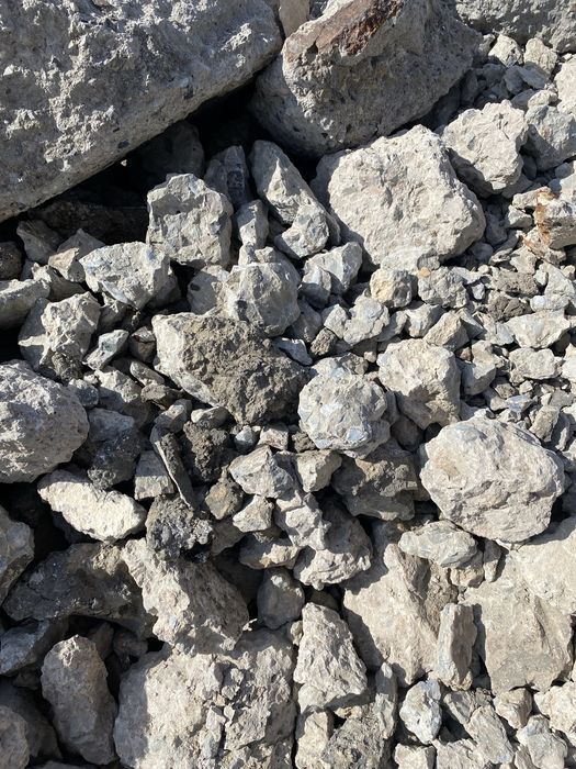 Жемтик Кызылорда