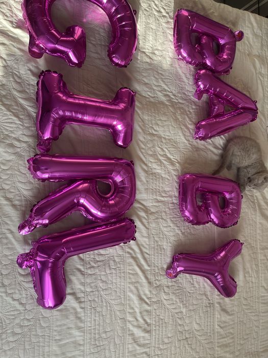 Британские и скотиш фолд котята