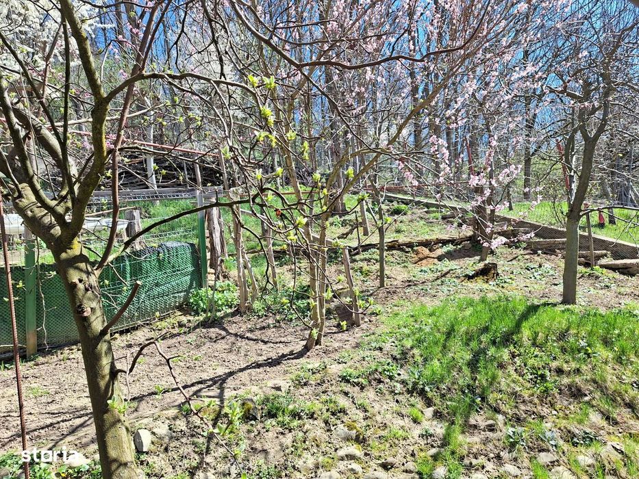 OCAZIE Casa 5 camere central Curtea de Arges