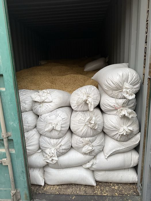 Arpa ячмень (ychmen)