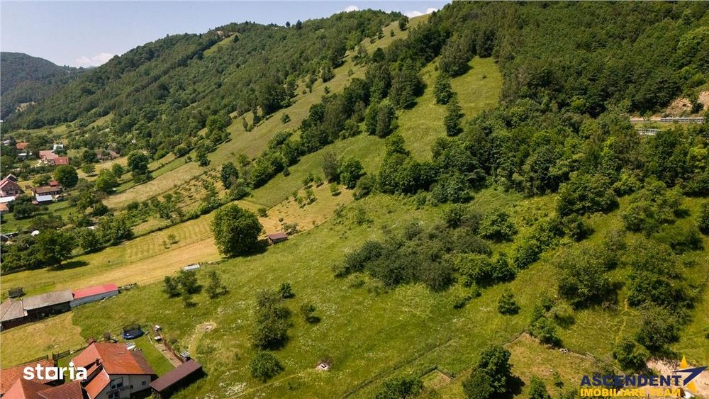 FILM! 1.450 mp intravilan, la DN, incantare peisagistica, Bran, Moieci