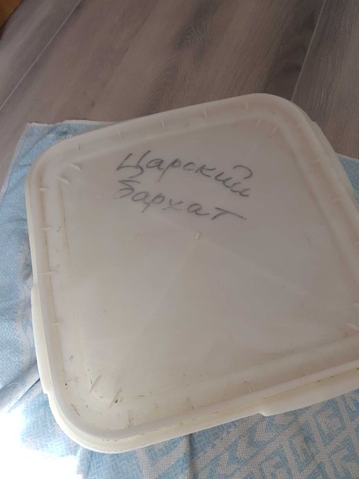 Контейнер под мёд на 14 кг