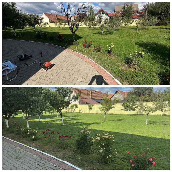 Tuns gazon și scarificări – Întreținere grădini (Persoană fizică)