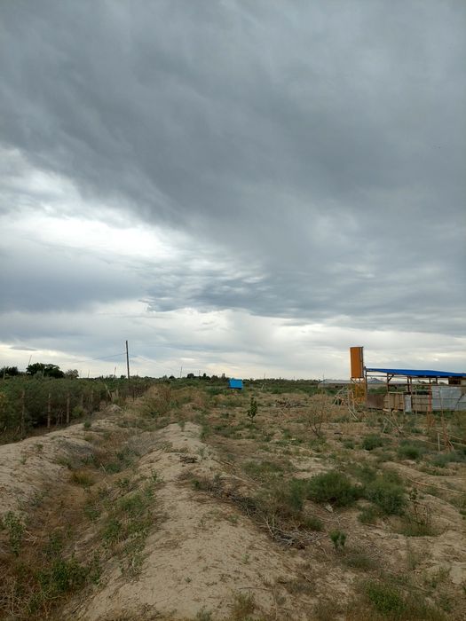 Домостройтельный