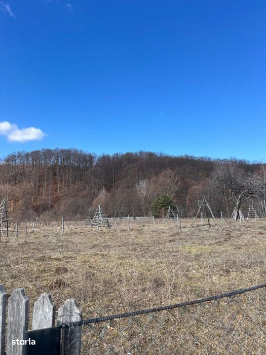 Teren Cicanesti Arges, la 10 KM de Transfagarasan - Comision 0%