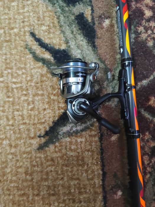 Lanseta bologneza +mulineta