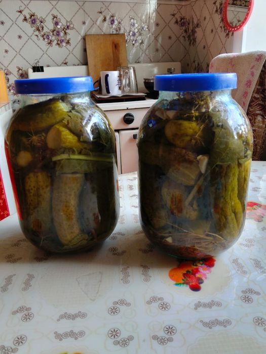 Продам солёные огурцы