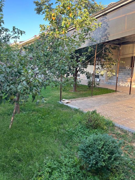 Срочно Продажа Дом участка улица Богишамол 7