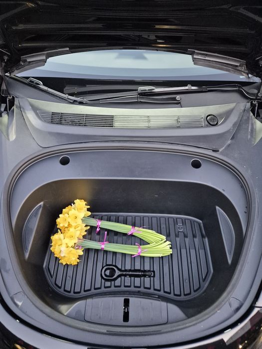 Tesla Model 3 SR+ | 06/2023 | Primul proprietar | Garanție | Extra