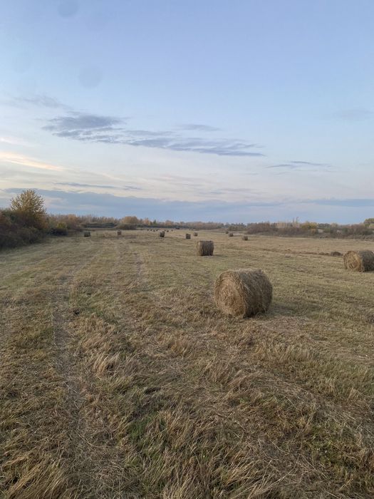 Продам Рулоны Луговые!!