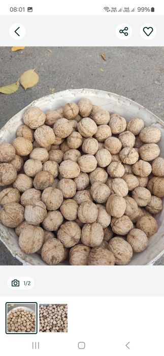 Грецкий орех высший сорт.