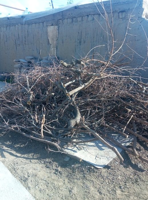 O'tin sotiladi Samarqand shahar