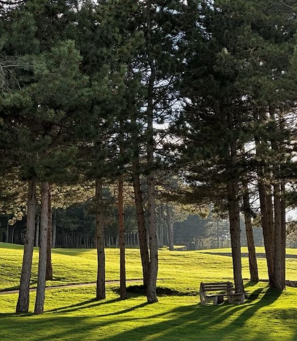 Дава се под наем Едностаен апартамент в Разлог - 43 кв.м за 331.5 € - Снимка #7