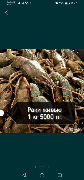 Раки варёные на любой вкус