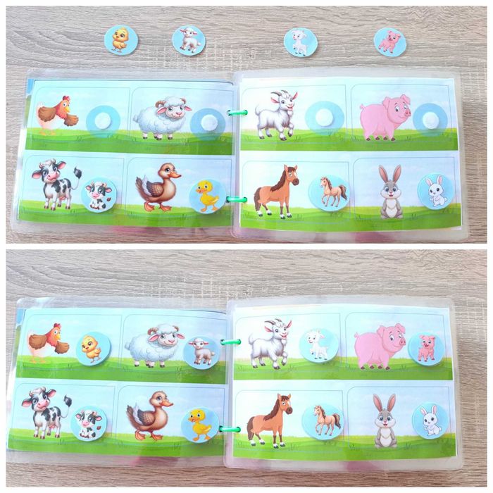 Книжка-игра "В царството на животните"