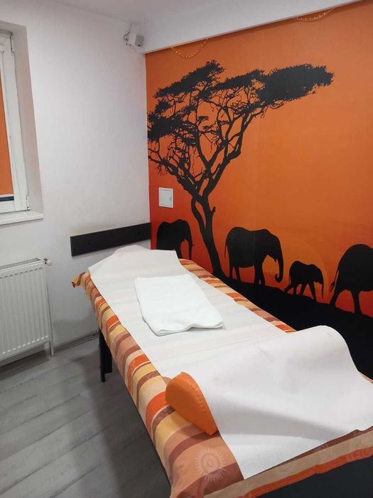 Proprietar - Metrou Piata Victoriei, Dr Felix - Titulescu